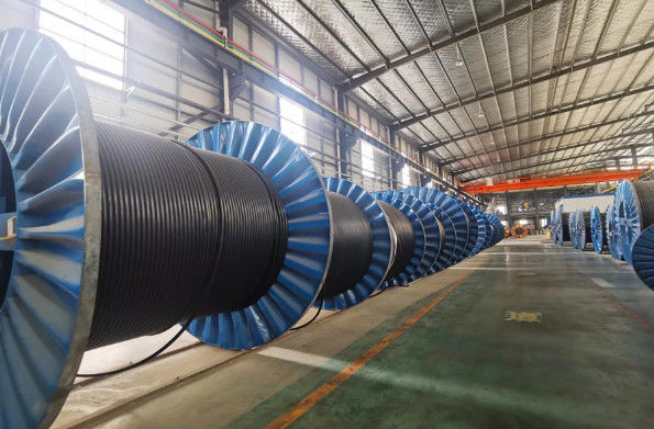 China HENAN UME CABLE CO., LTD. Profiel van het bedrijf 
